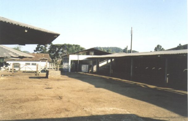Foto02