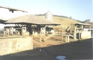Foto03