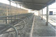 Foto05