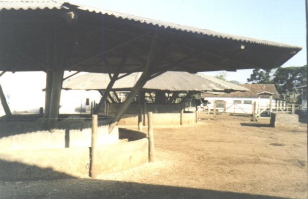 Foto06