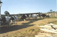 Foto07