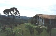 Foto10
